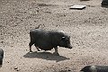 IMG_7992