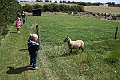 IMG_7997
