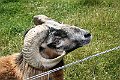 IMG_7999