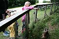 IMG_8103