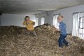 IMG_8145