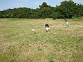 IMG_6907