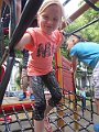 IMG_7006