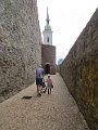 IMG_7368