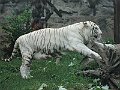 IMG_7465