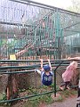 IMG_7470