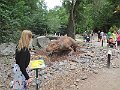 IMG_7504