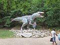 IMG_7520