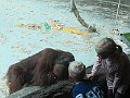 IMG_7546