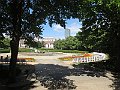 IMG_7564