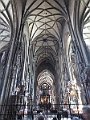 IMG_7647