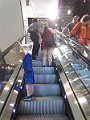 IMG_7671