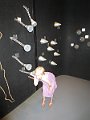 IMG_7698