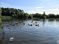 IMG_7743