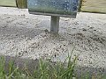 IMG_0149b
