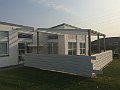 IMG_0275