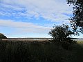 IMG_8005