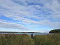IMG_8009