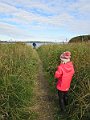 IMG_8010