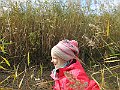 IMG_8014