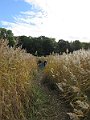 IMG_8015