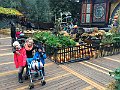 IMG_8002