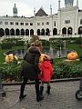 IMG_8006
