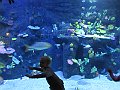 IMG_8061