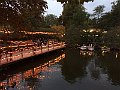 IMG_8102