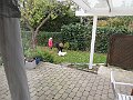 IMG_8114