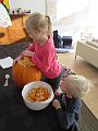 IMG_8146