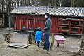IMG_8870