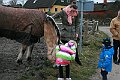 IMG_8910