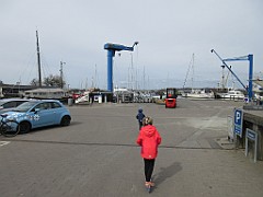 IMG_0494