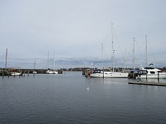 IMG_0501