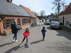 IMG_0517