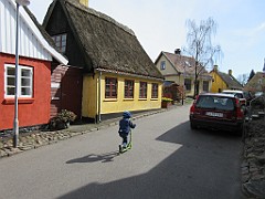IMG_0520