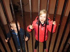 IMG_0529