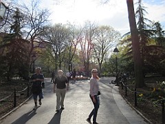 IMG_0590