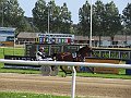 IMG_2811