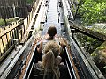 IMG_2946