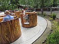 IMG_2951