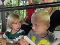 IMG_2994