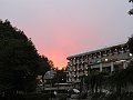 IMG_2368