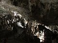 IMG_2437
