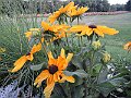 IMG_1904