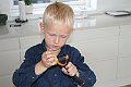 IMG_9327