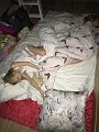 IMG_0730