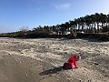 IMG_1181