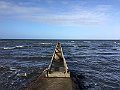 IMG_1188